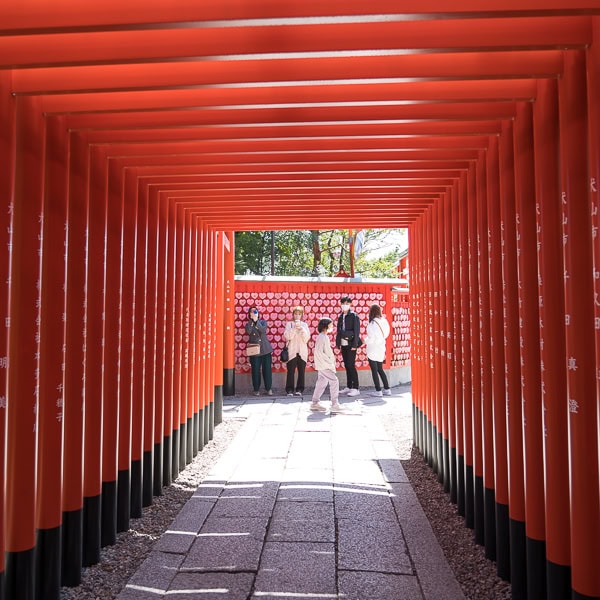 Torii gates