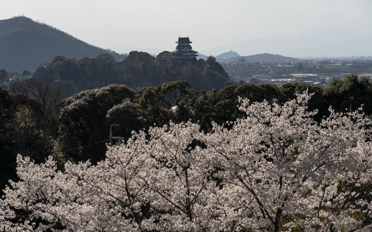 View from Daishoji Temple